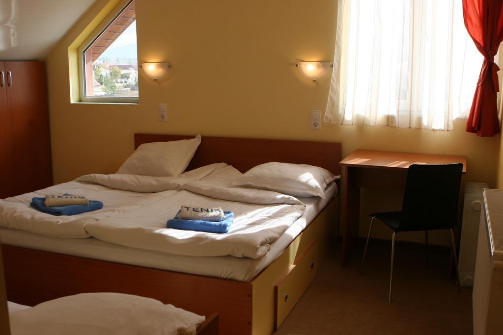 Hotel Pamira シビウ 部屋 写真